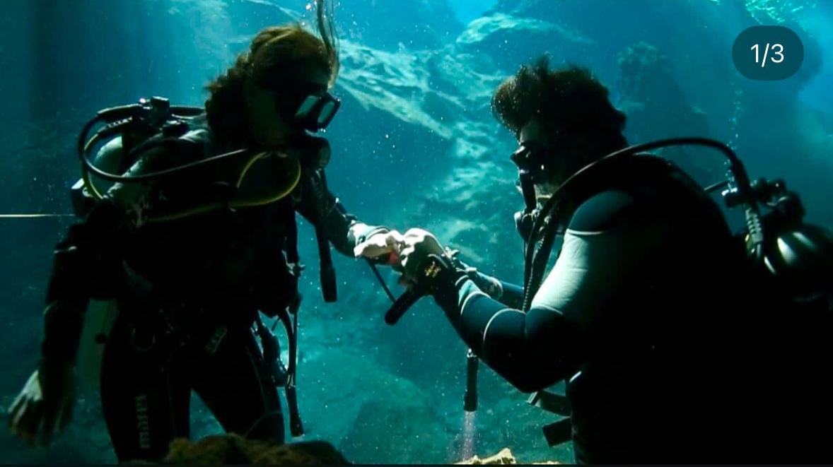 WhatsApp Image 4underwaterproposal